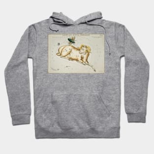 Aries Constellation Hoodie